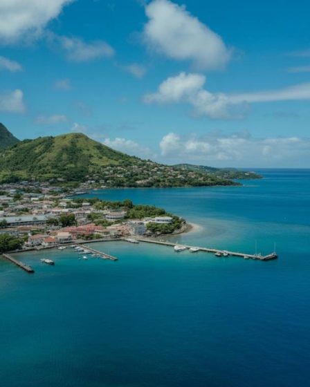 Quels sont les impacts de la future loi sur le ZAN (Zéro Artificialisation Nette) en Martinique ?