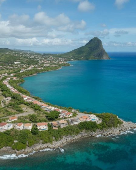 Comment la transition énergétique influence-t-elle le marché immobilier en Martinique ?