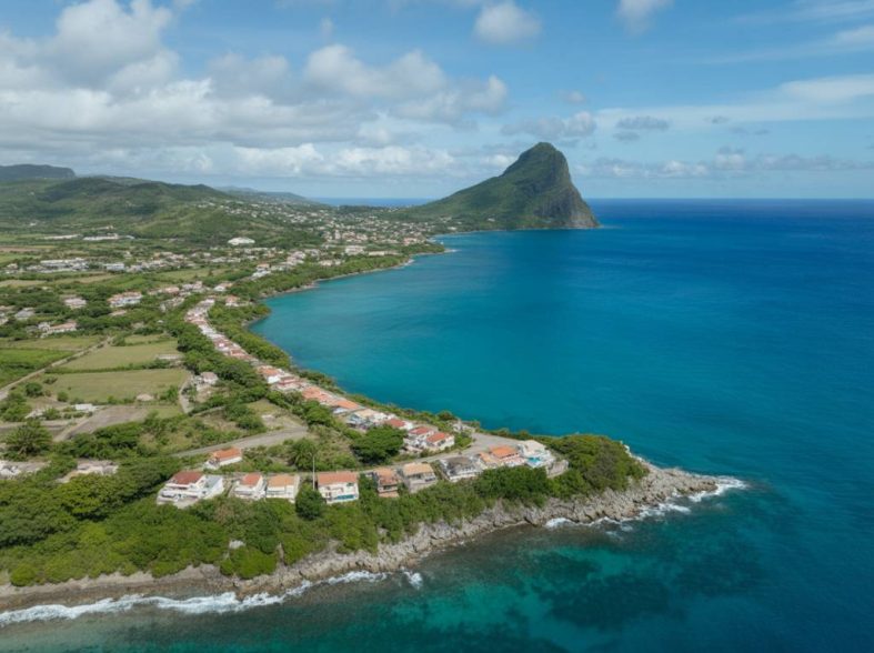 Comment la transition énergétique influence-t-elle le marché immobilier en Martinique ?