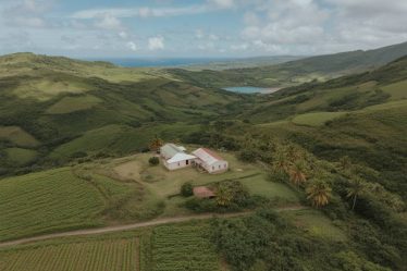 L'essor de l'agritourisme en Martinique : quel impact sur l'investissement immobilier rural ?