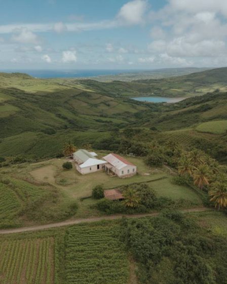 L'essor de l'agritourisme en Martinique : quel impact sur l'investissement immobilier rural ?