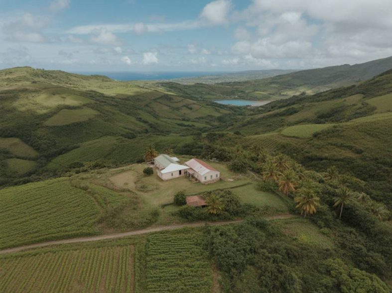 L'essor de l'agritourisme en Martinique : quel impact sur l'investissement immobilier rural ?