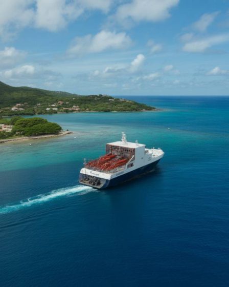 Faut-il encore investir en loi Pinel Outre-mer en Martinique en 2026 ? Analyse des nouveaux dispositifs et alternatives possibles