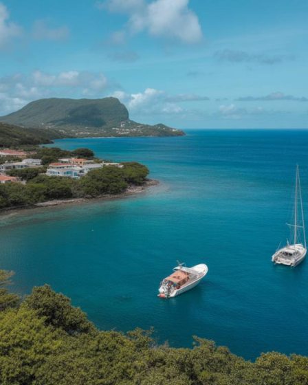 Comment investir dans une location saisonnière en Martinique en 2026 : réglementation, rentabilité et erreurs à éviter